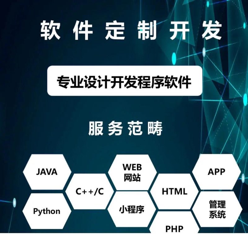 软件定制开发:企业成长的催化剂