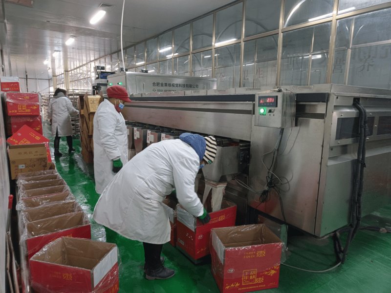 智能转型,系统集成引领未来趋势